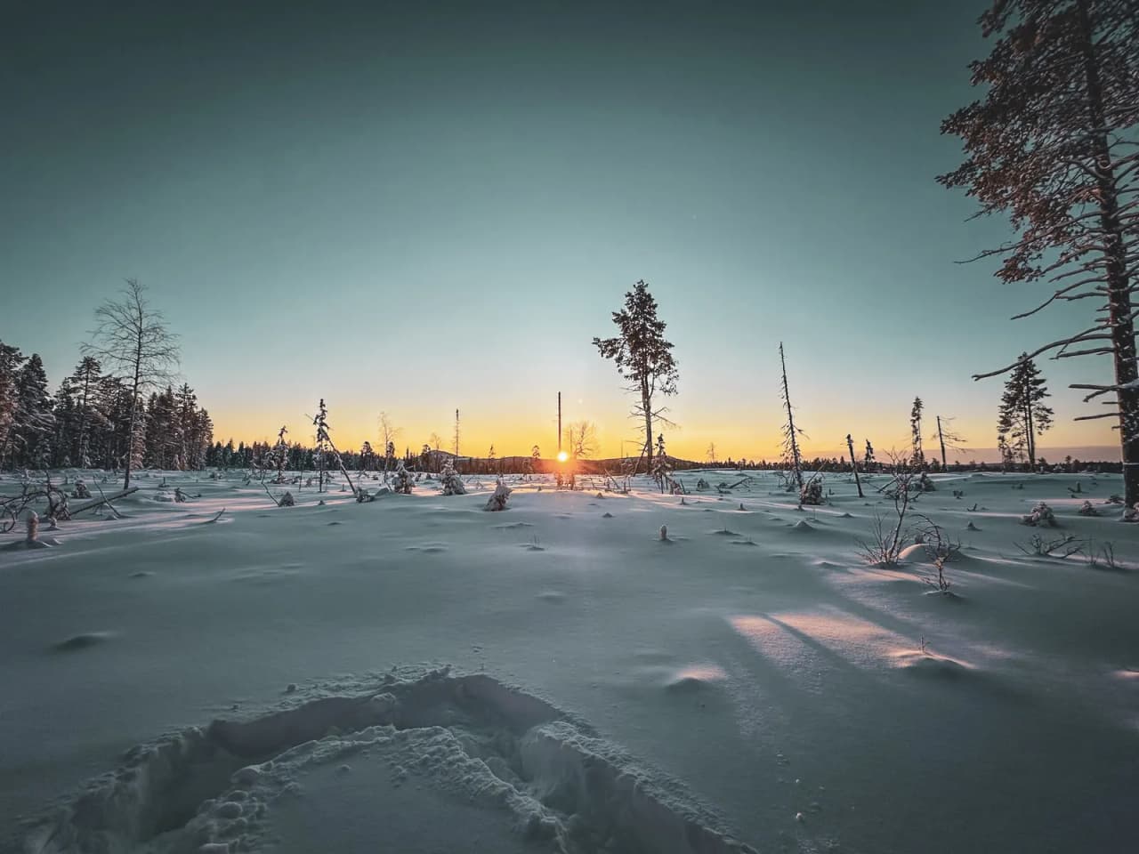 Paysage enneigé de Laponie, aurore scintillante à l'horizon, nature sauvage à explorer.