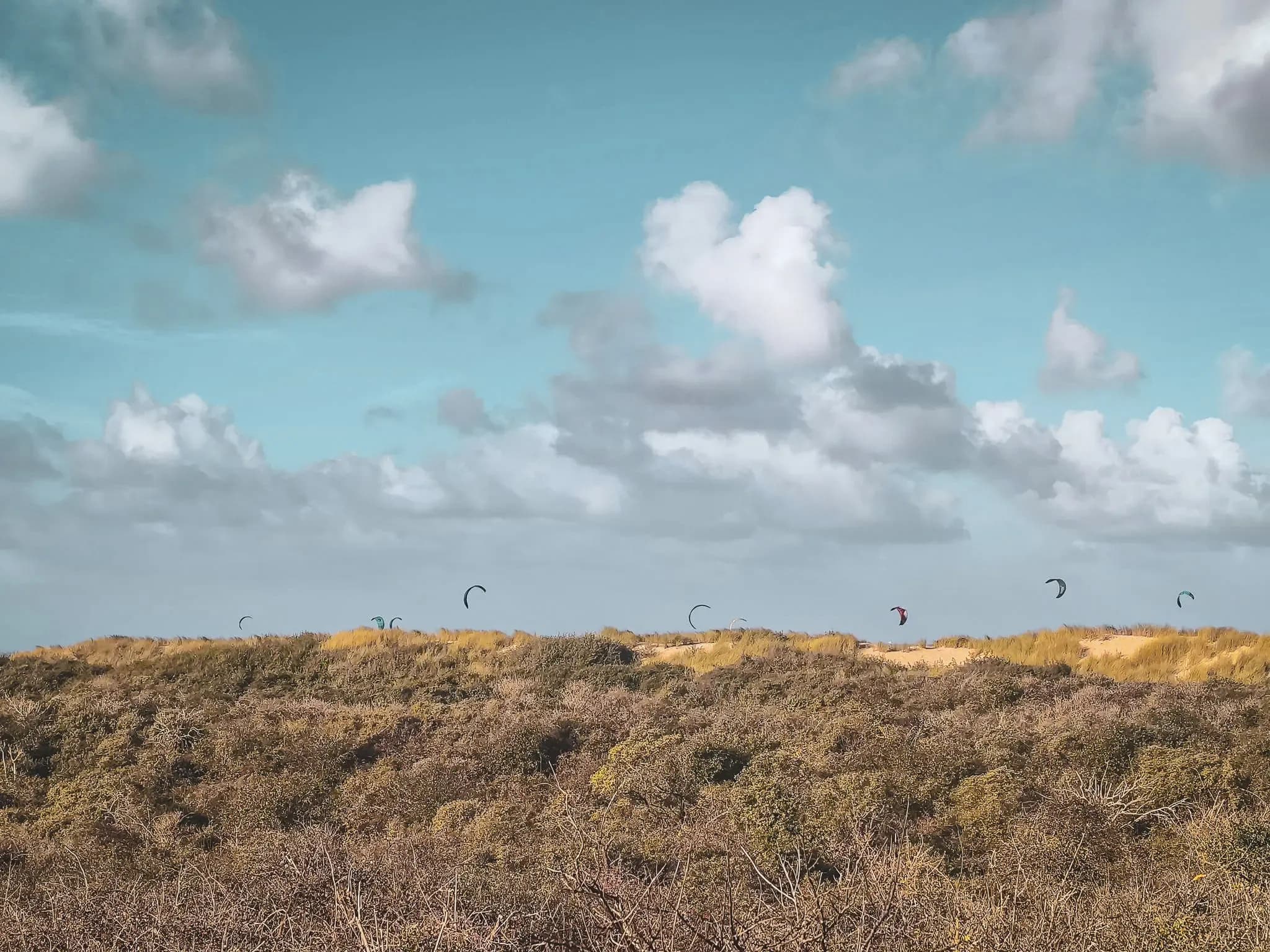 Zeeland dunes with kitesurfers in the blue sky, an invitation to adventure.