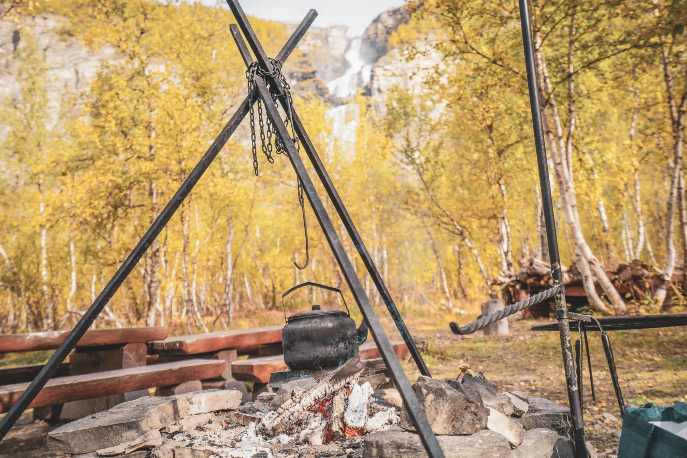A cauldron hanging over embers, with a golden forest in the background, beckoning adventure.