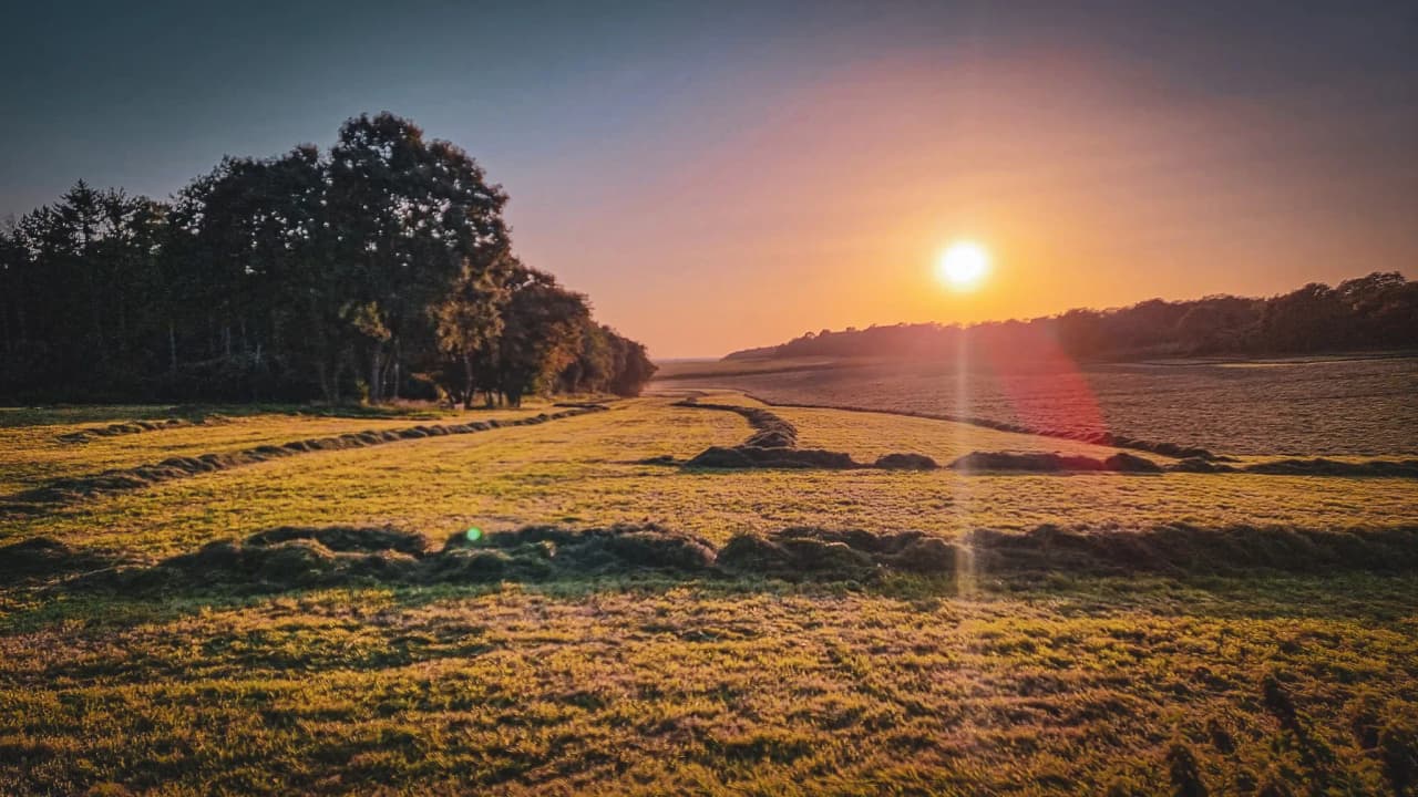 Paysage ensoleillé de l'Ardenne belge, idéal pour une aventure nature et survie en forêt.