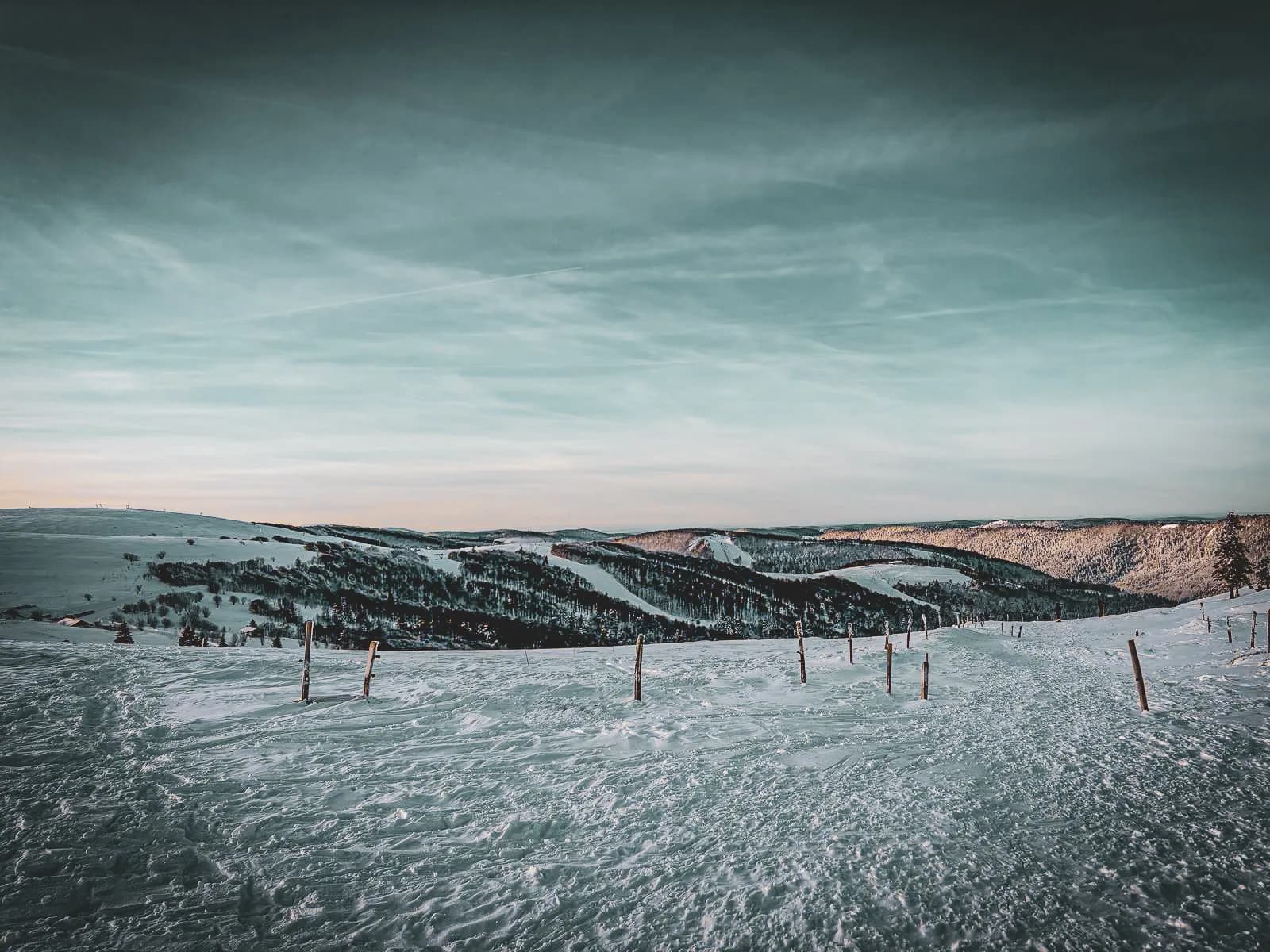 Een winterlandschap van besneeuwde heuvels bezaaid met dennenbomen. De lucht is in blauwe en grijze tinten, wat een serene sfeer creëert. Op de voorgrond staan houten palen