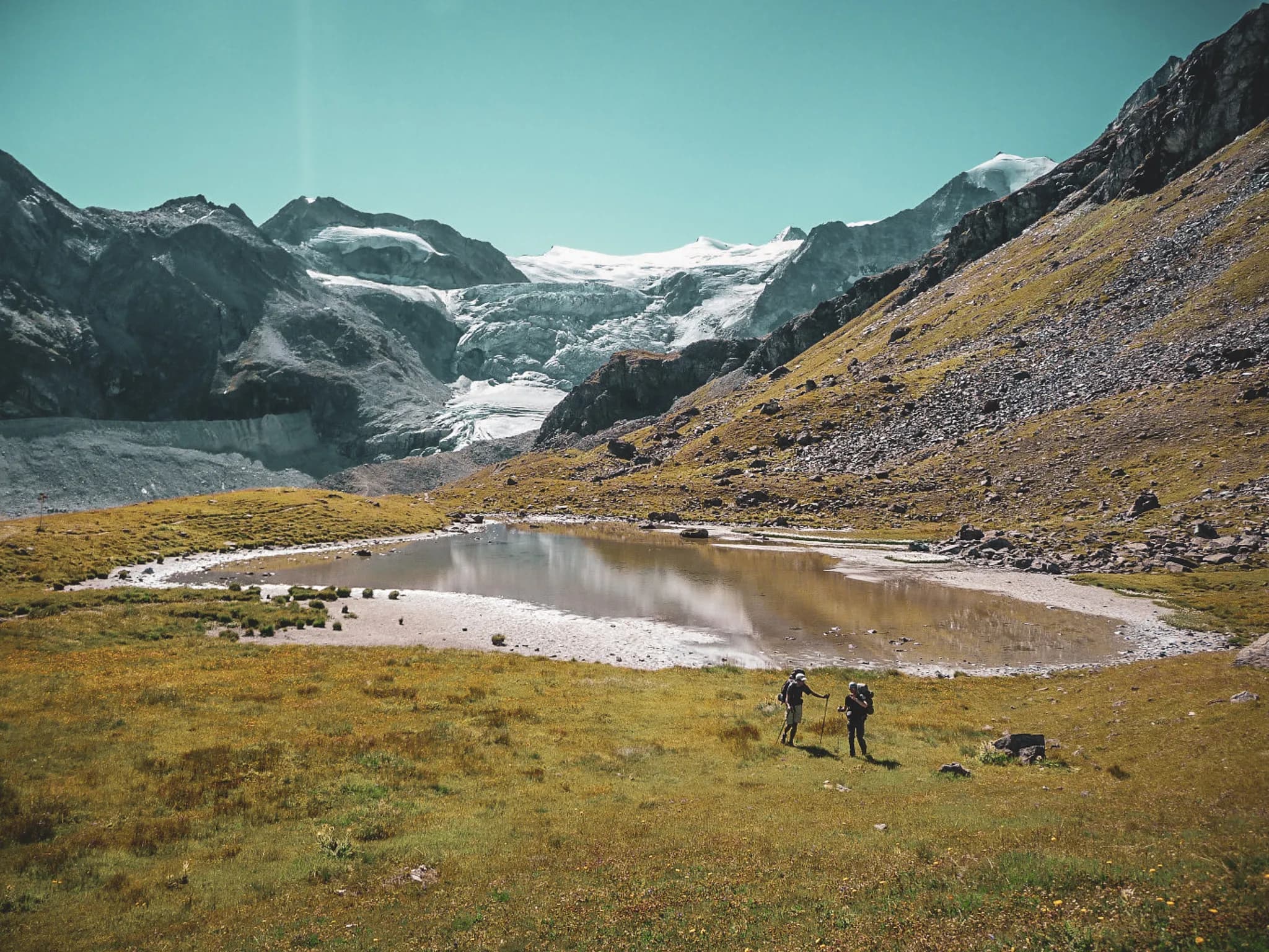 An Alpine landscape with majestic mountains and a large glacier in the background. A small oval-shaped lake lies in the foreground, surrounded by lush greenery dotted with wild flowers.