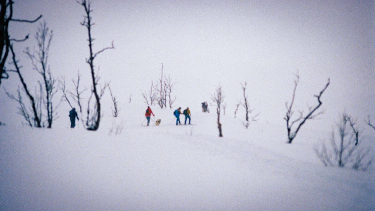Hikers walking through the snow against a winter backdrop of majestic fjords.
