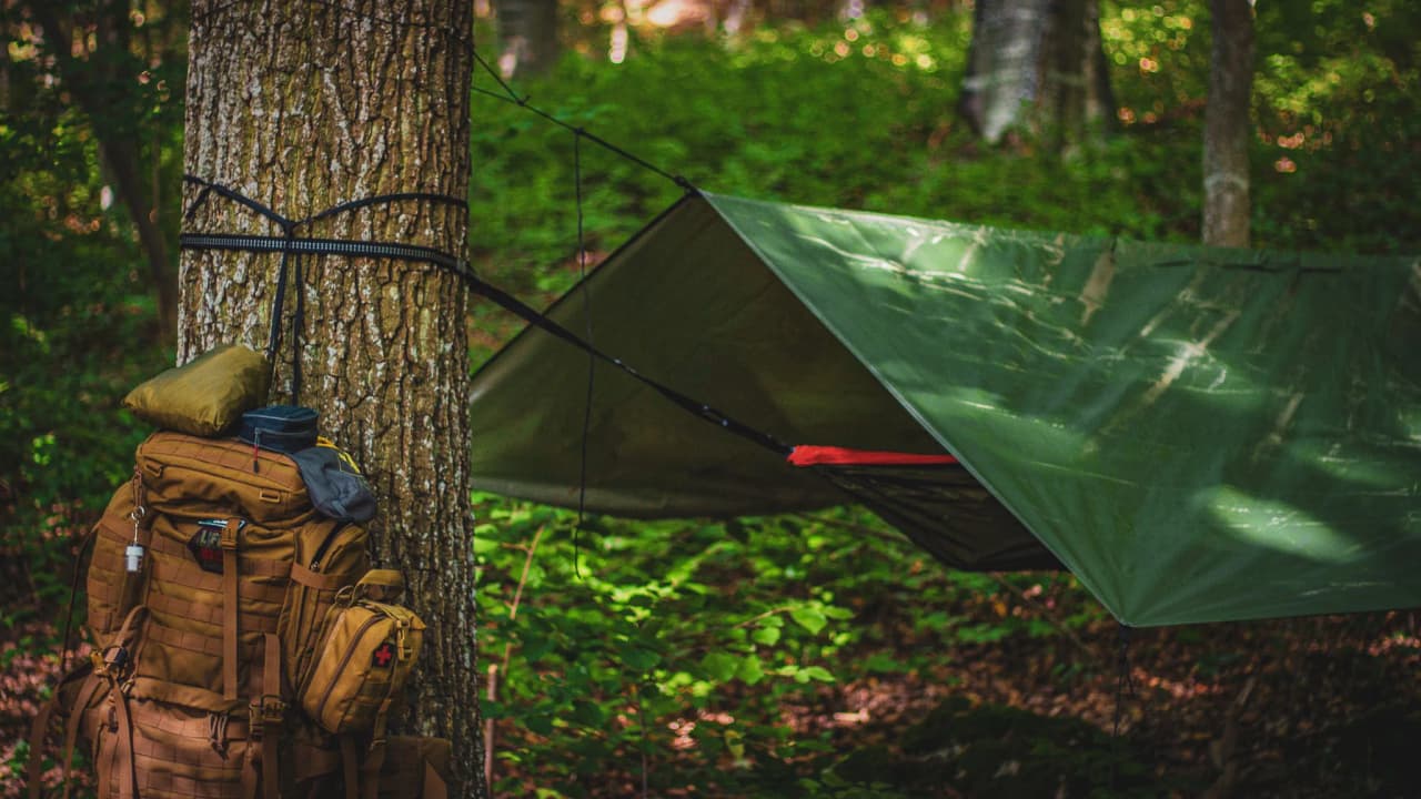 Tente de survie suspendue entre les arbres, sac à dos robuste à côté, dans une forêt verdoyante.