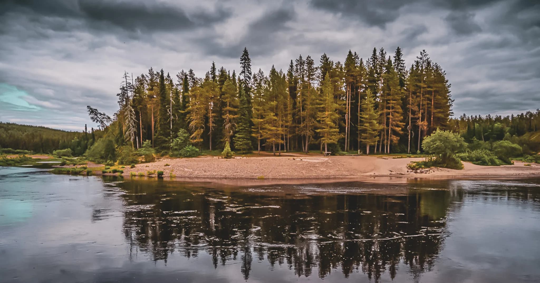 A serene natural landscape with a calm lake reflecting majestic trees in shades of gold and green. The edge of the lake is adorned with sand and grassy areas, while grey clouds dotted