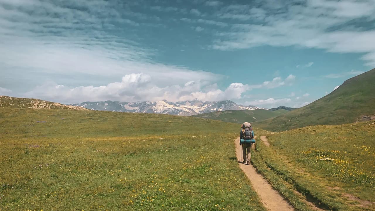 Un randonneur sur un sentier verdoyant, entouré de montagnes majestueuses sous un ciel bleu.