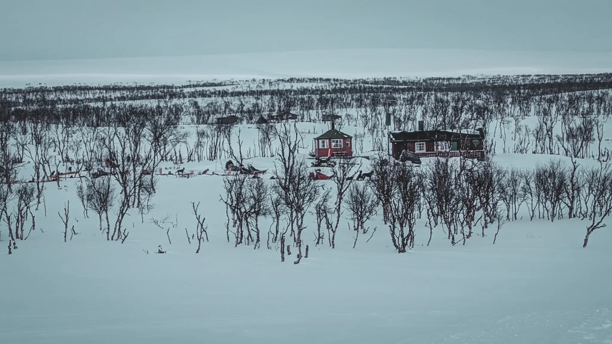 A snowy landscape with several huts scattered among bare trees. The scene is dominated by a vast expanse of snow and a slightly cloudy sky, creating a tranquil, isolated atmosphere.