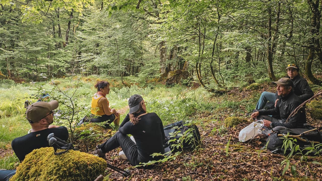 A smiling hiker on a green trail in the Vosges, surrounded by lush countryside.