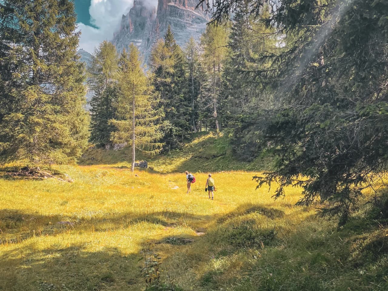 A sunny hike in the Dolomites, where two walkers cross a golden field surrounded by pine trees.