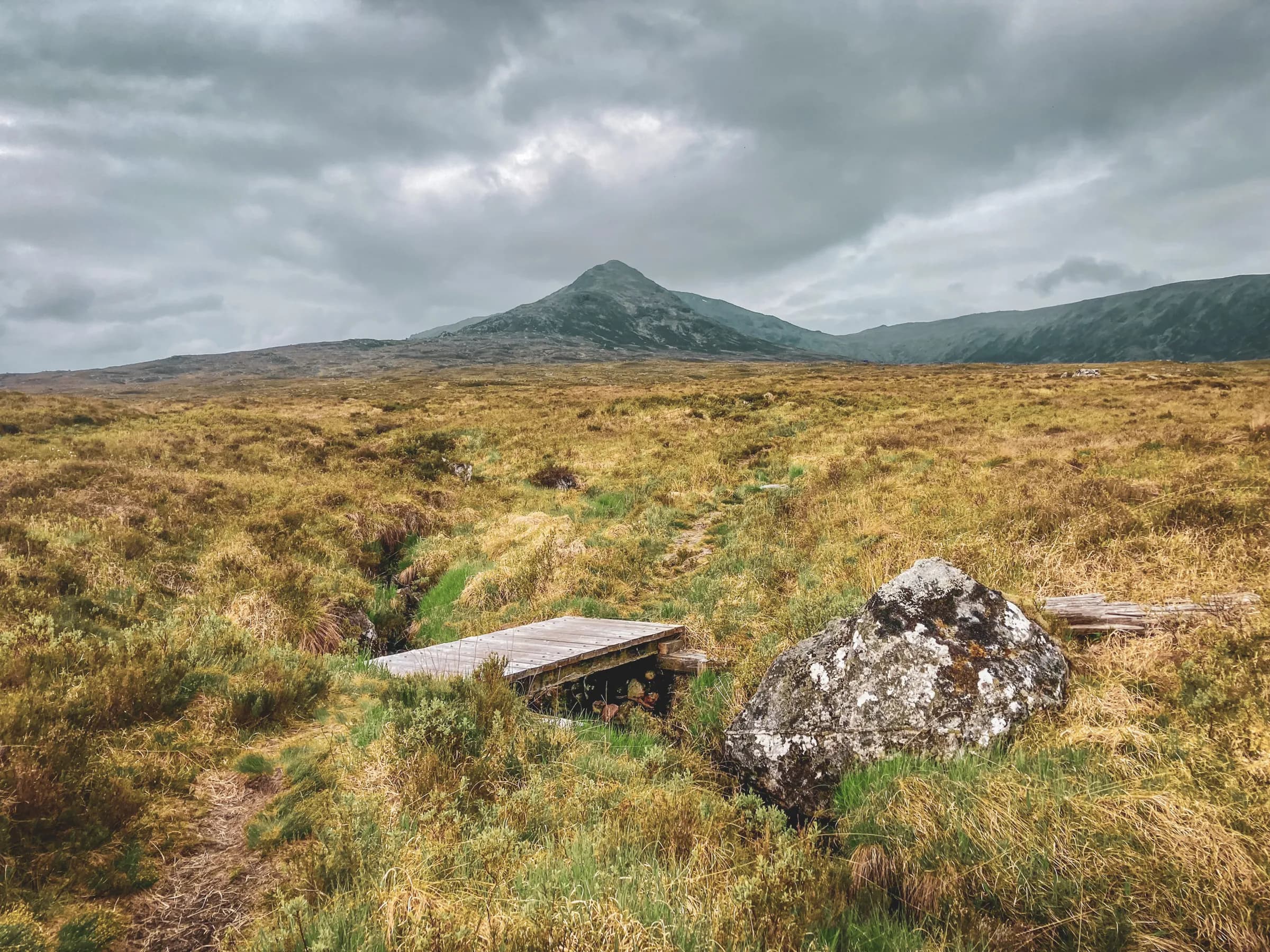 Vast golden meadows under a cloudy sky, with the peaks of the Highlands in the background.