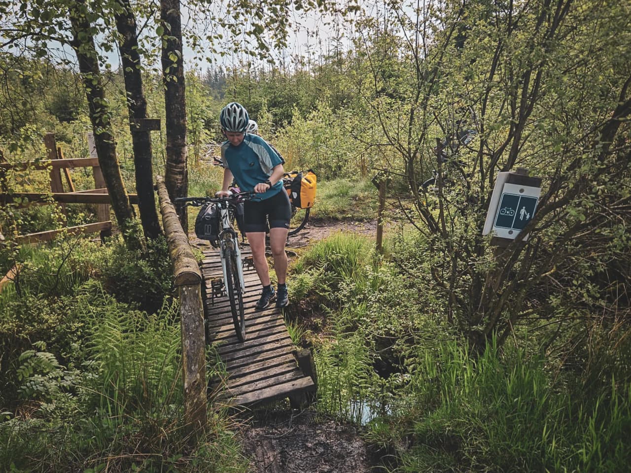 Cycliste traversant un pont en bois dans la verdure des Hautes Fagnes, une aventure nature.
