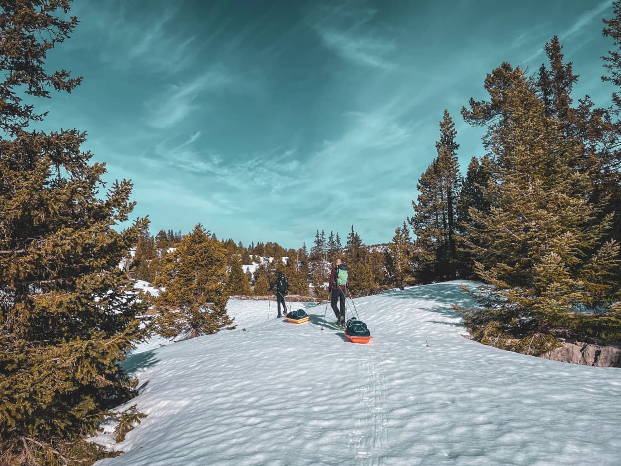 Snow-covered landscape of the Vercors with hikers on snowshoes pulling pulkas under a blue sky.