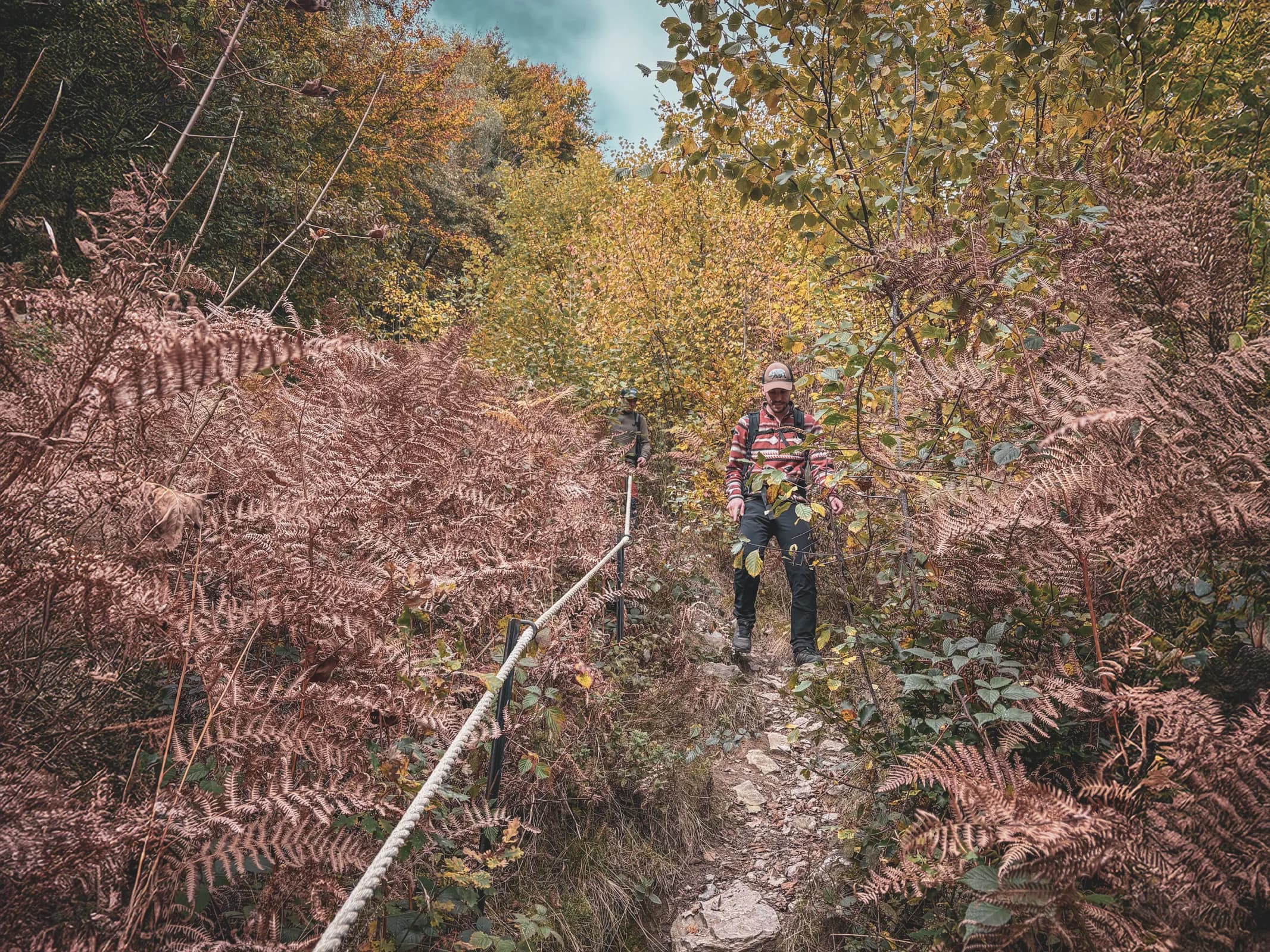 Two people are walking along a forest path, surrounded by tall trees with sturdy trunks. The ground is covered with dead leaves and moss, and the colours of nature vary between shades of green and red.