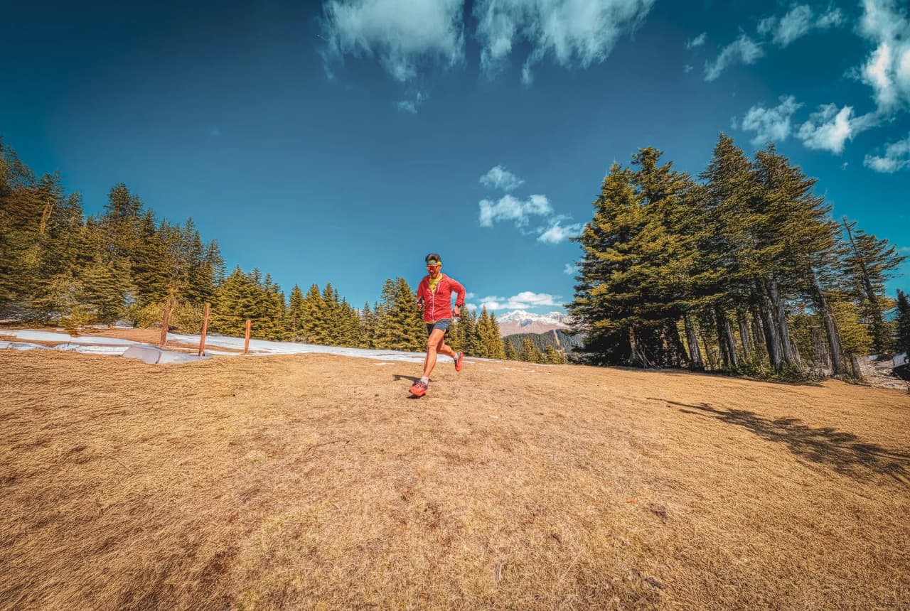 Un coureur traversant un paysage montagnard ensoleillé, entouré de pins et d'une vue majestueuse.