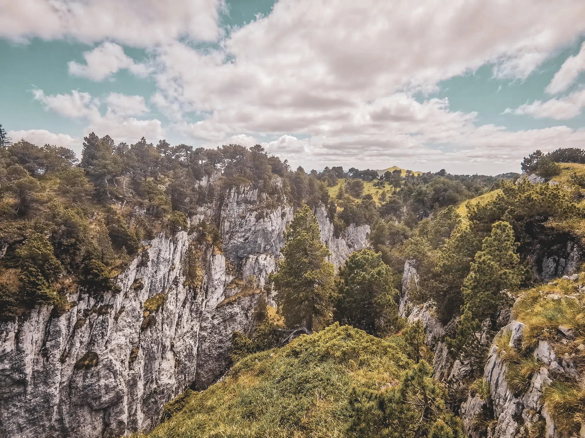 Paysage impressionnant des crêtes du Haut-Jura, entre falaises blanches et forêts verdoyantes.