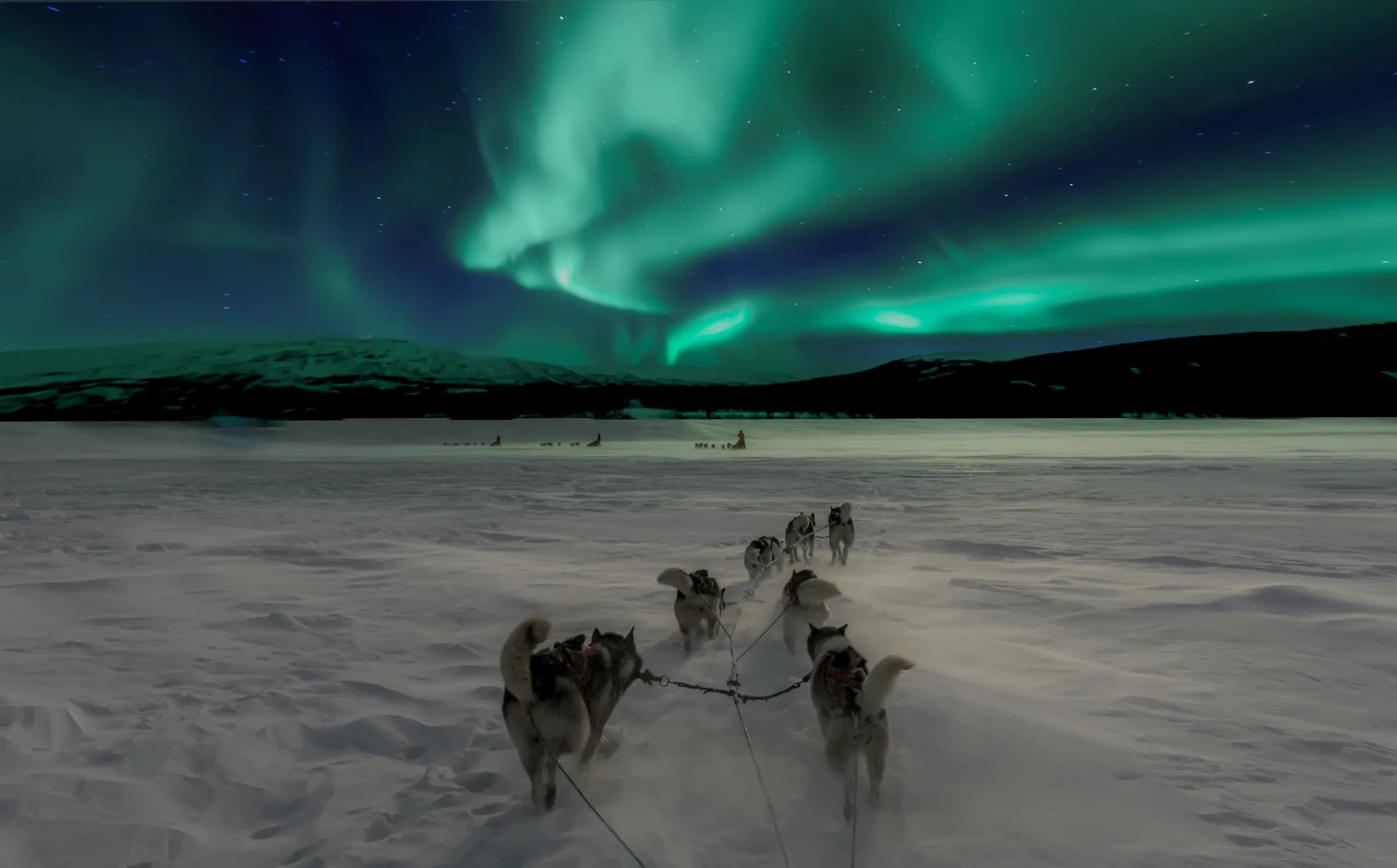 A team of sled dogs advances across a snow-covered landscape, while a magnificent aurora borealis illuminates the sky in shades of green and blue. In the background, a mountain range takes shape.