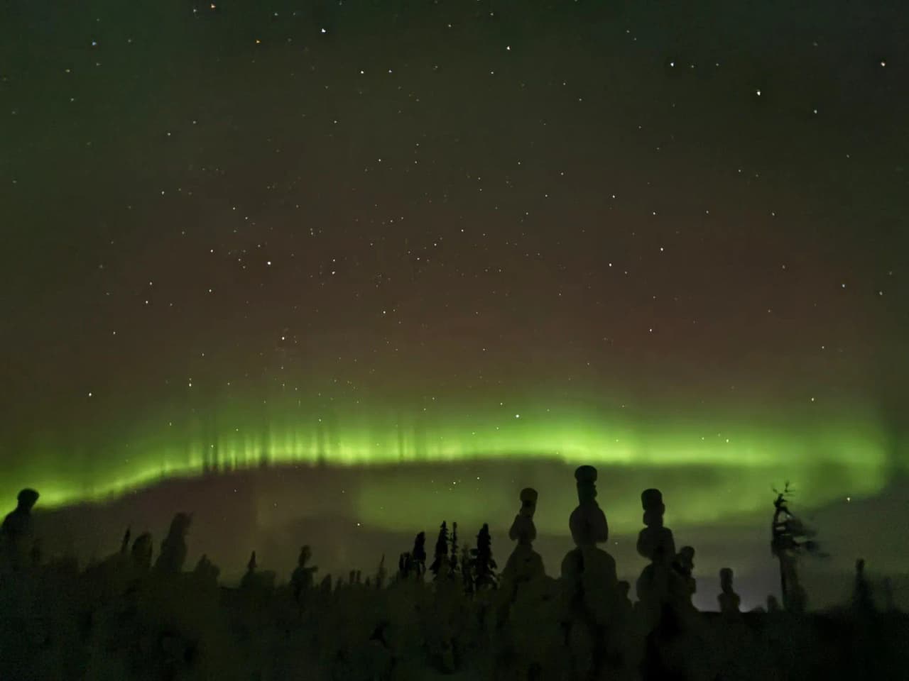Noorderlicht in een sterrenhemel, silhouetten van besneeuwde bomen in Lapland. Poolmagie!