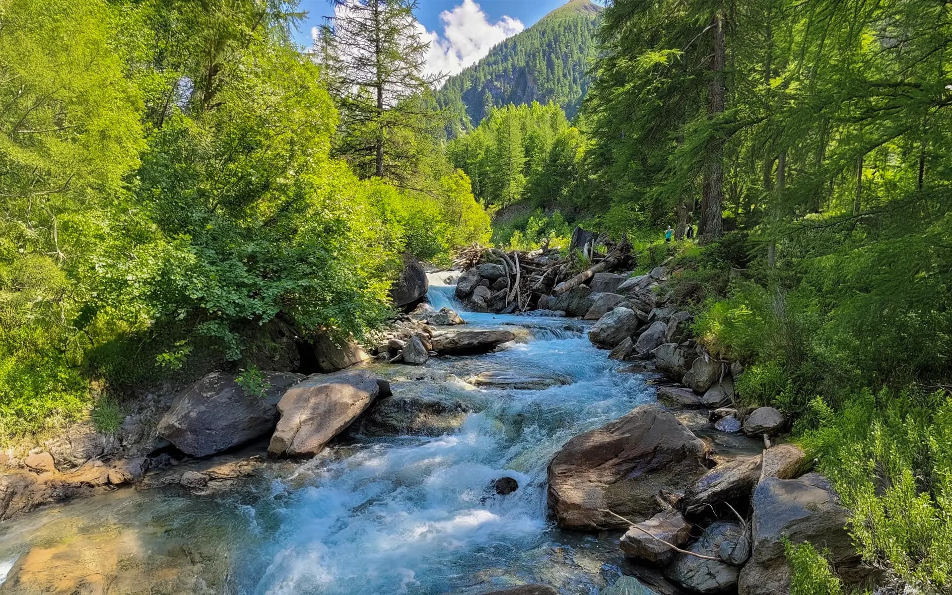 A crystal-clear stream meanders between rocks under a sunny sky, surrounded by lush greenery.