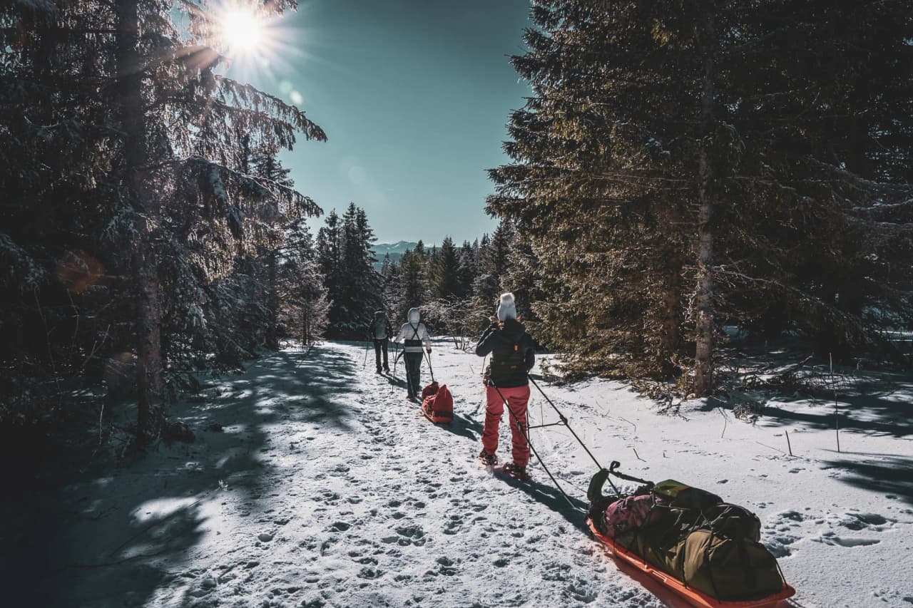 Trois randonneurs en raquettes avec des pulkas, traversant une forêt enneigée sous le soleil.