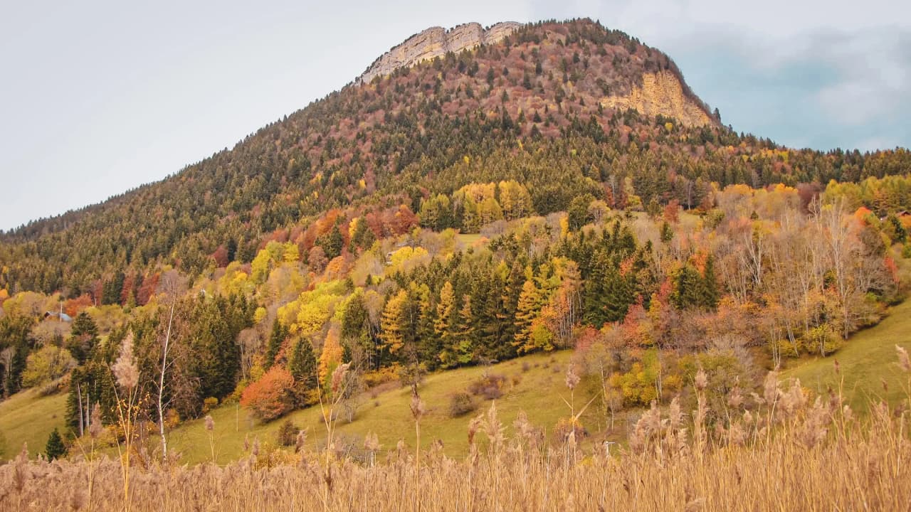Un panorama automnal sur les crêtes verdoyantes, mêlant roches, forêts et champs dorés.