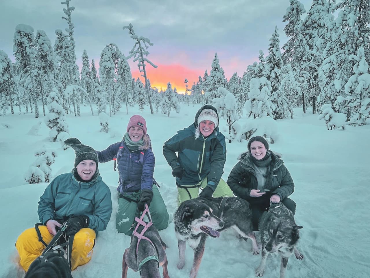 Een lachende groep met sledehonden in een magisch winterlandschap in Lapland.