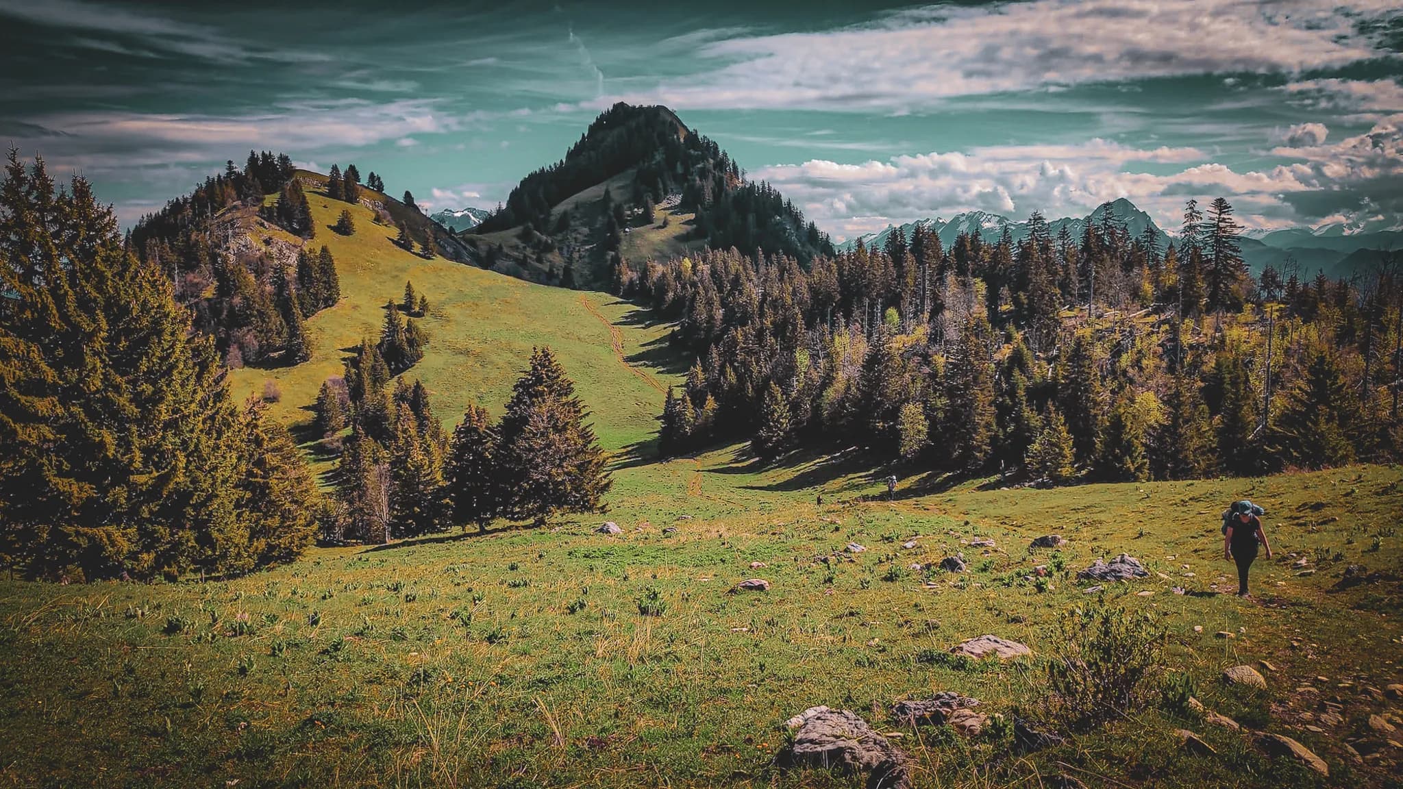 Un paysage montagneux verdoyant, avec des collines ondulantes recouvertes d'herbe et de conifères. Au centre, une montagne plus élevée est visible, entourée d'une forêt dense. Le ciel est partiellement