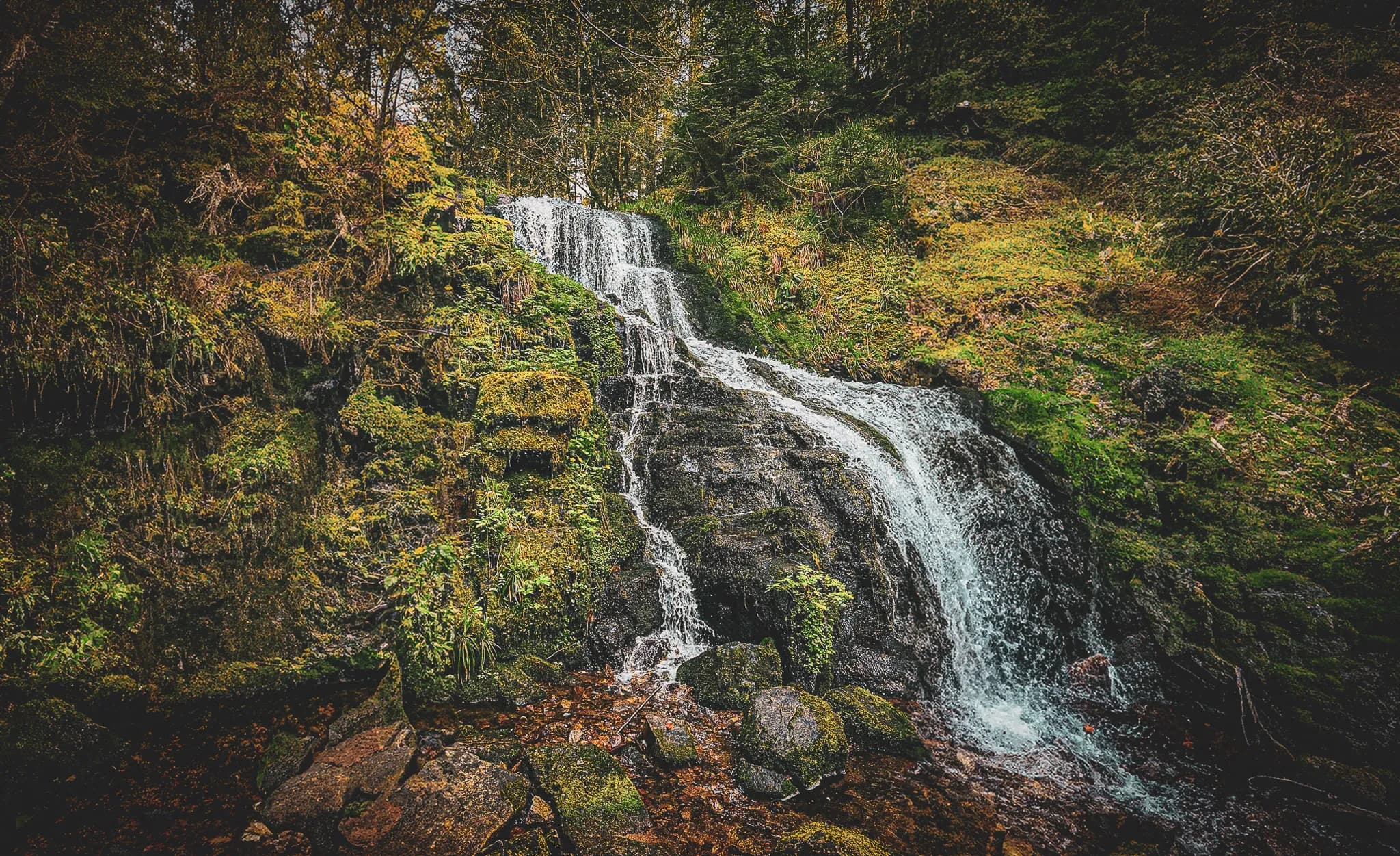 A picturesque waterfall cascades down a rocky surface covered in green moss. The surrounding area is lush and wooded, with ferns and a variety of plants adding colour to the landscape.