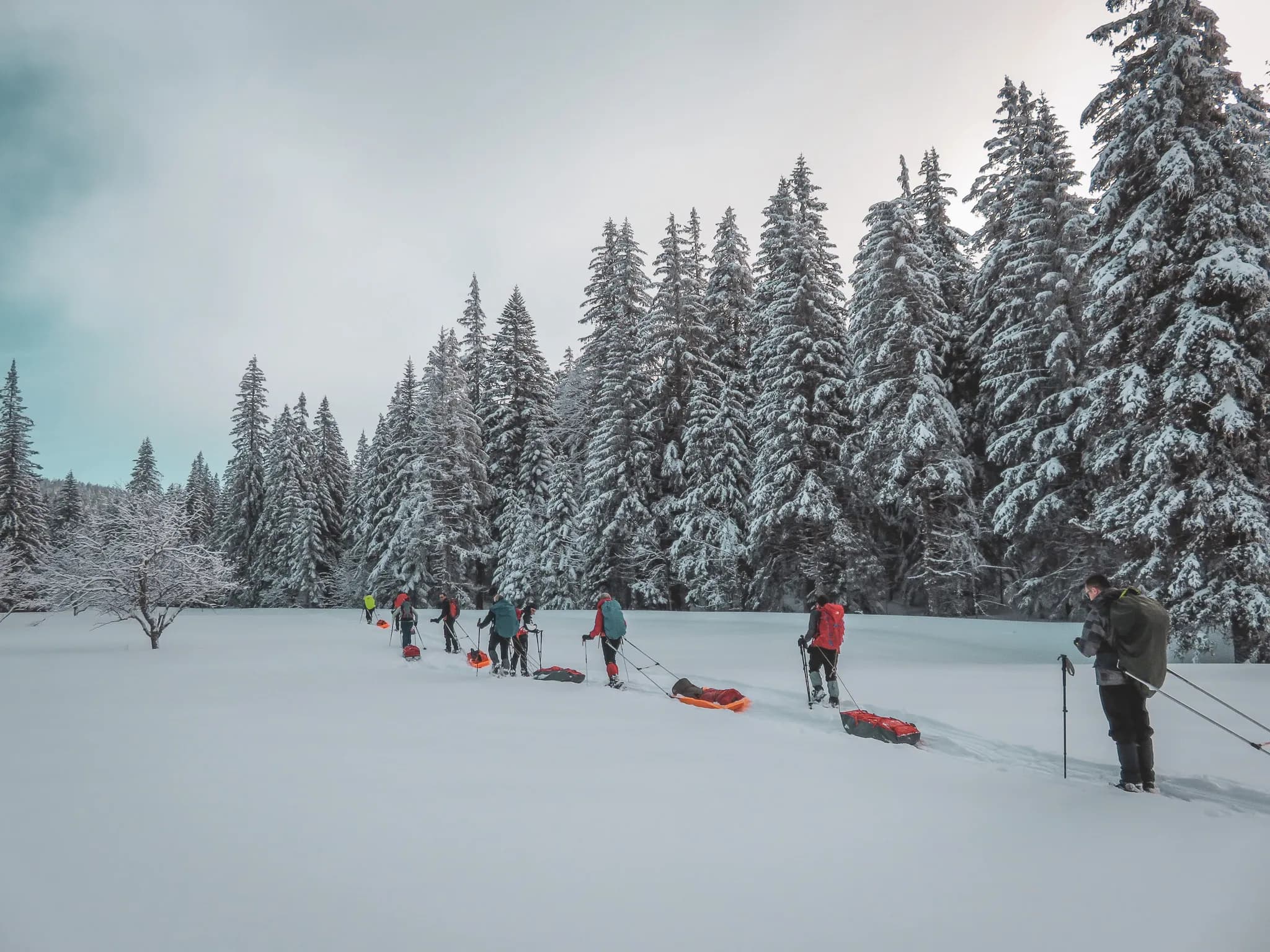 Een groep op sneeuwschoenen doorkruist een besneeuwd landschap, omringd door torenhoge dennenbomen.