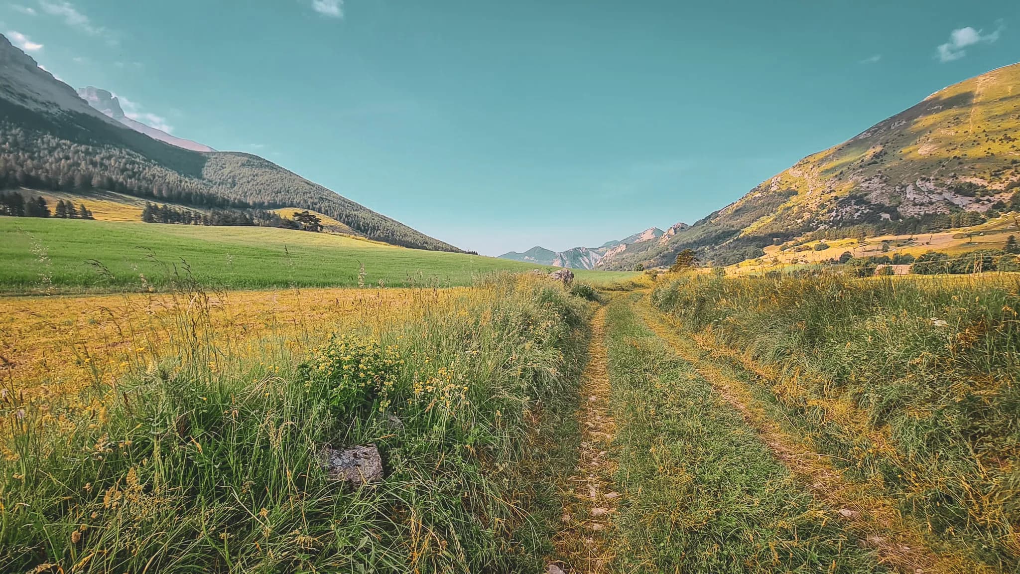 A green path winding between the mountains, offering spectacular views of the Alpine landscape.