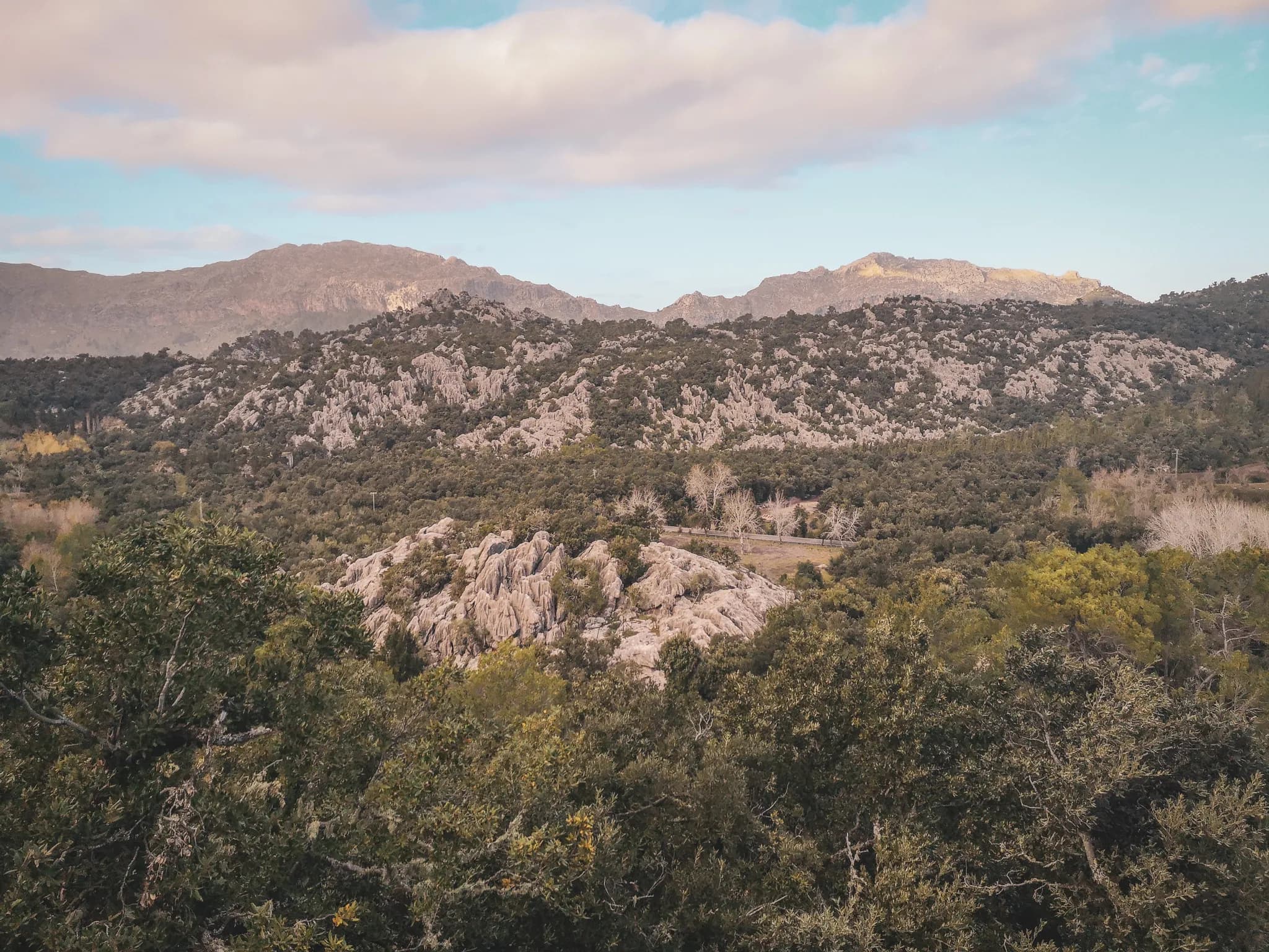 The wild landscape of Majorca's Serra de Tramuntana, between rocky outcrops and verdant forests.