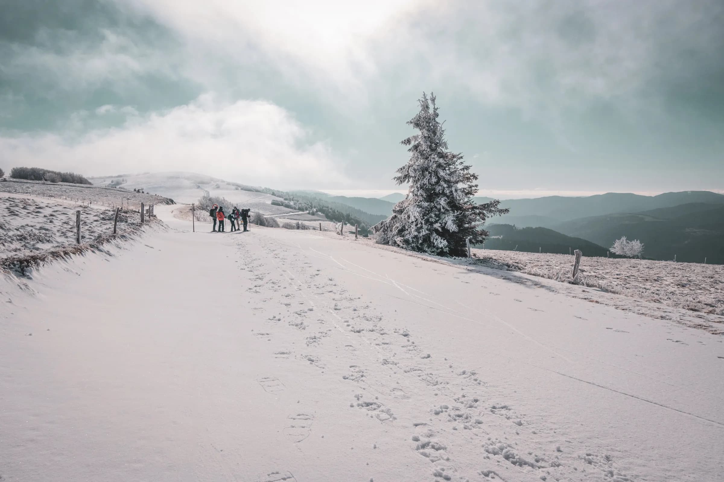 Randonnée en raquettes sur la grande crête des Vosges, paysage enneigé et aventure en plein air.