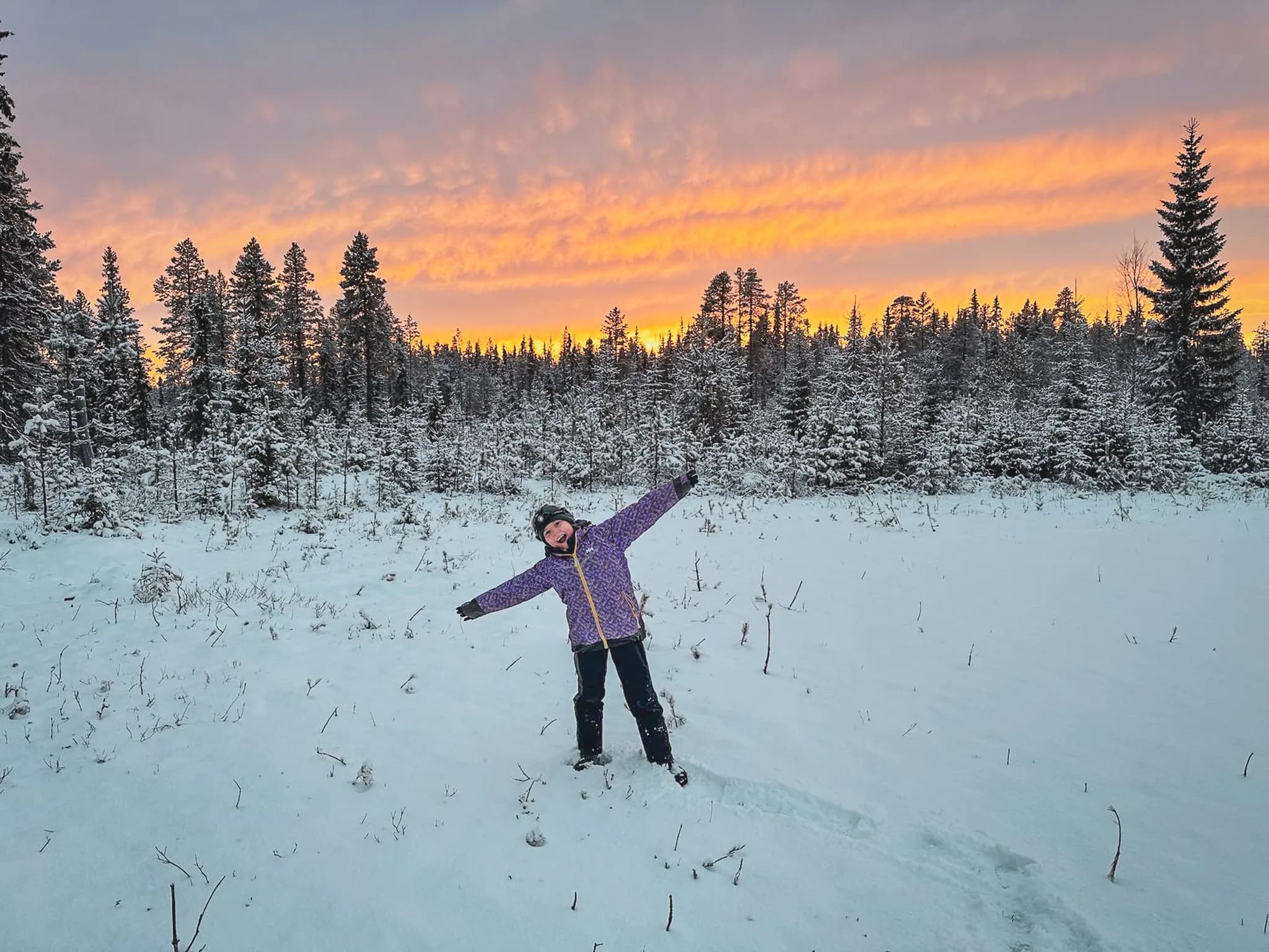 Een betoverend landschap in Zweeds Lapland, bedekt met glinsterende sneeuw onder een bewolkte hemel.