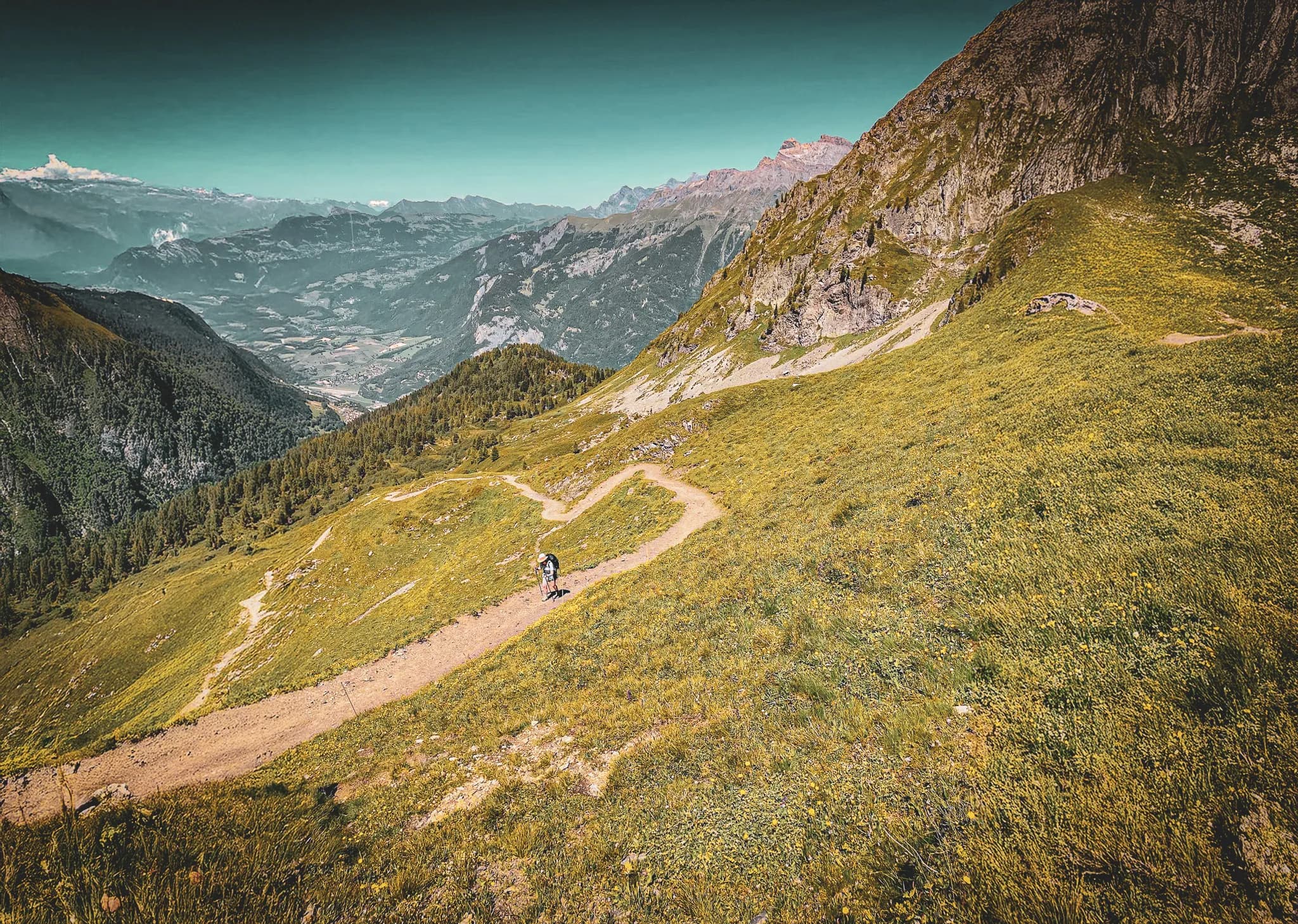 A winding path climbs a green hill, surrounded by majestic mountains in the background. Gentle slopes covered with wild flowers and grass show shades of green, while a r