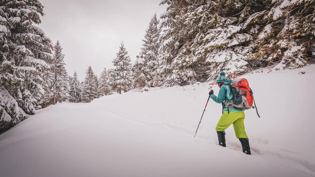 Snowshoe trekking in a snowy Pyrenean landscape, surrounded by majestic fir trees.