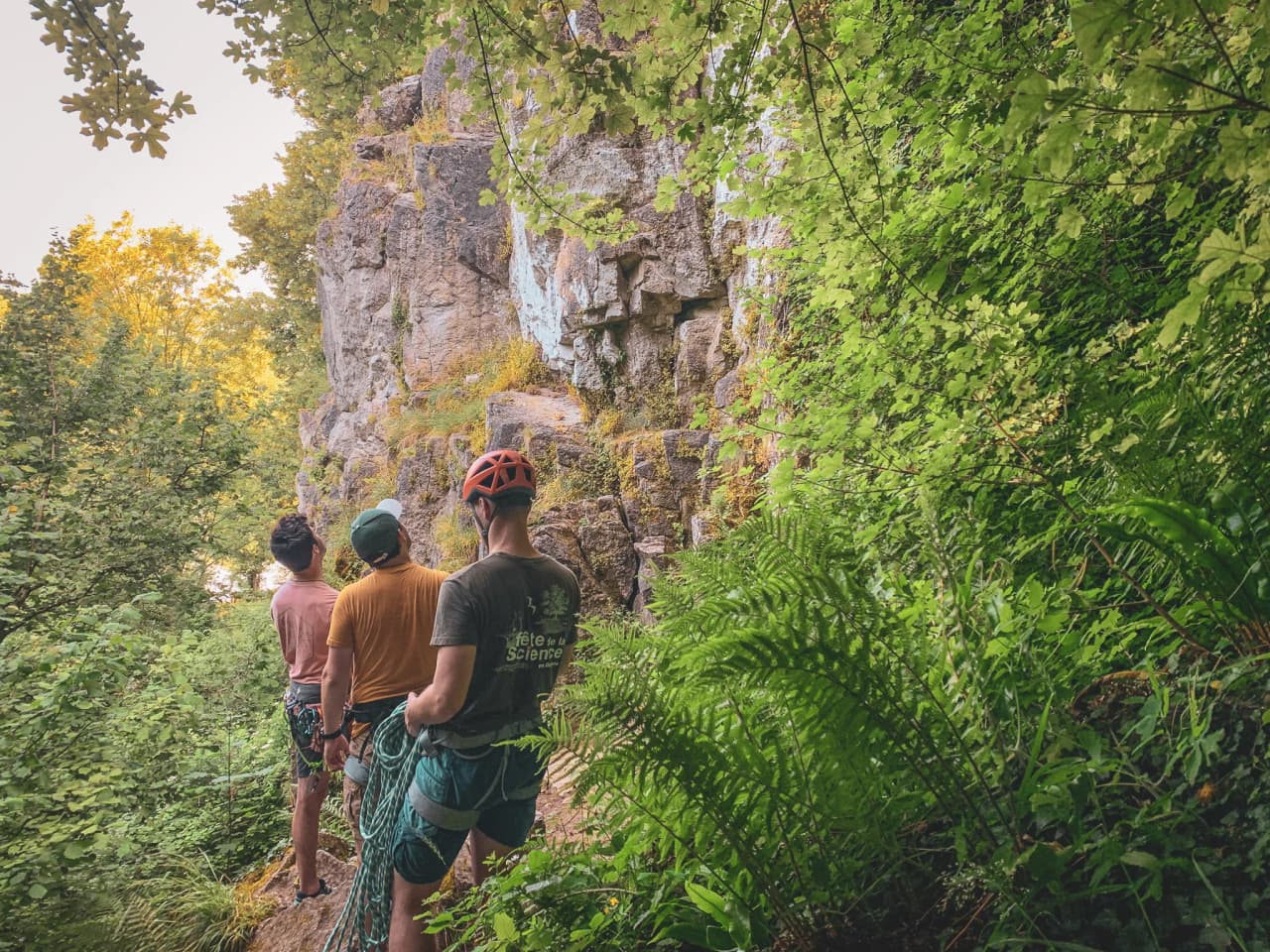 Three people on a cliff, ready to discover climbing in the heart of lush natural surroundings.