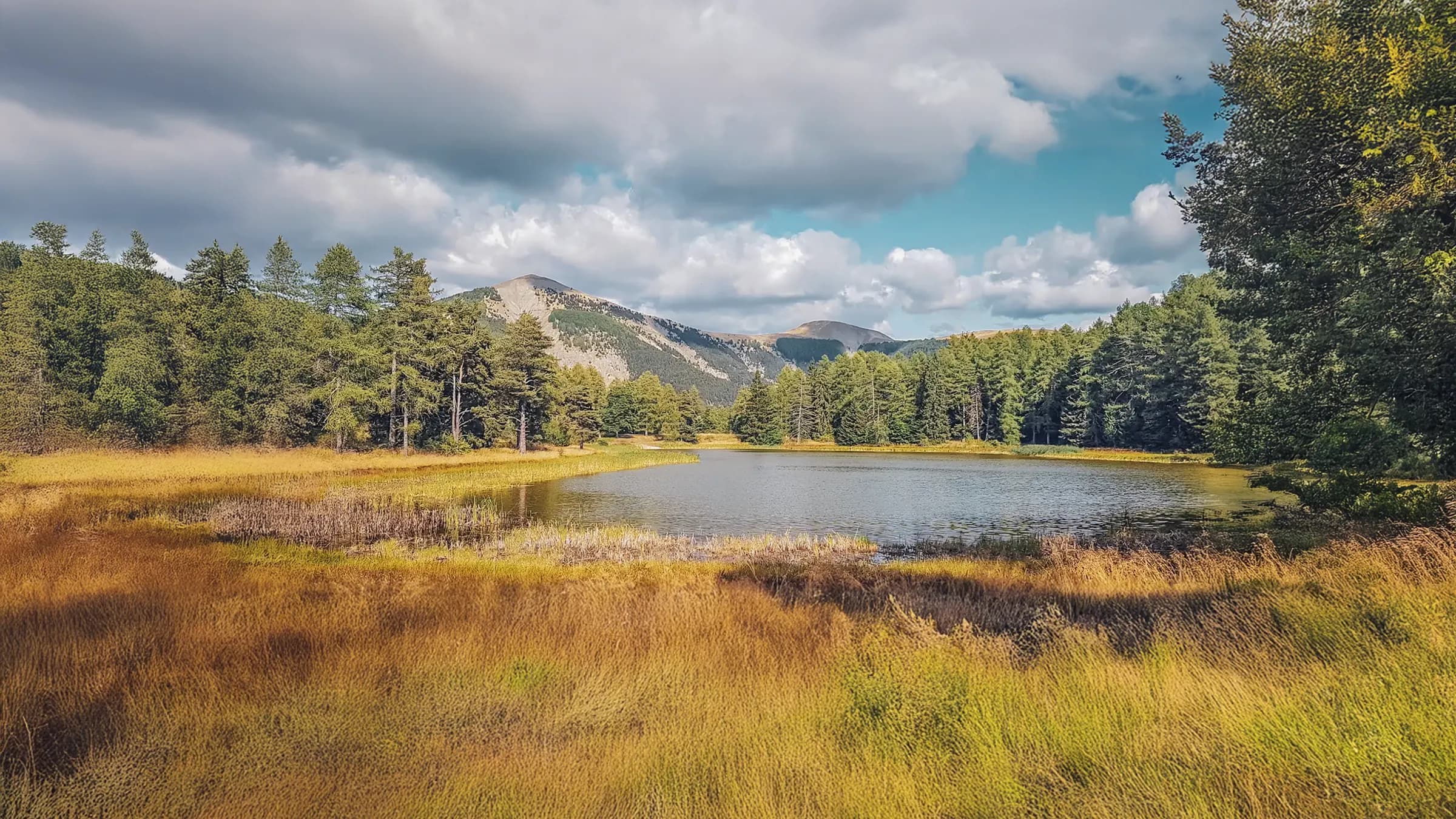 A natural landscape where a peaceful lake meets majestic mountains in the background. Dense forests surround the lake shore, while areas of golden grass stretch across the land.