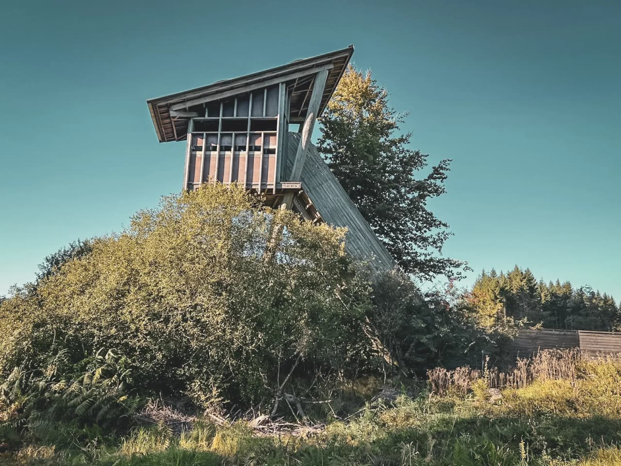Aperçu d'une tour d'observation en bois, entourée de verdure, idéale pour une soirée nature en Ardenne.