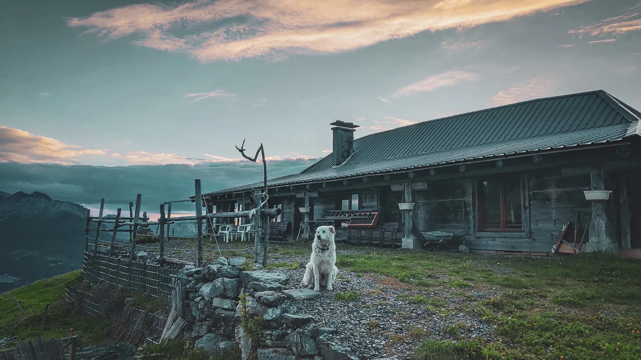 Un chalet en bois est situé dans un paysage montagneux, avec une pelouse verdoyante en avant-plan. Un chien blanc est assis sur une pierre près de l'entrée. À l'arrière-plan, la façade du chalet présente des fenêtres