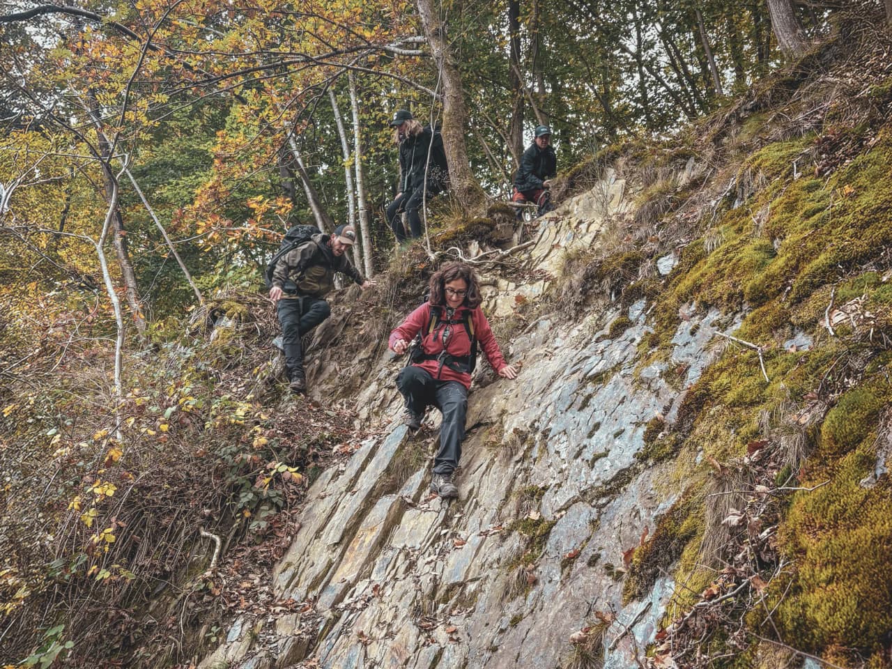A group of adventurers descend a steep path in the forest, surrounded by autumn colours.