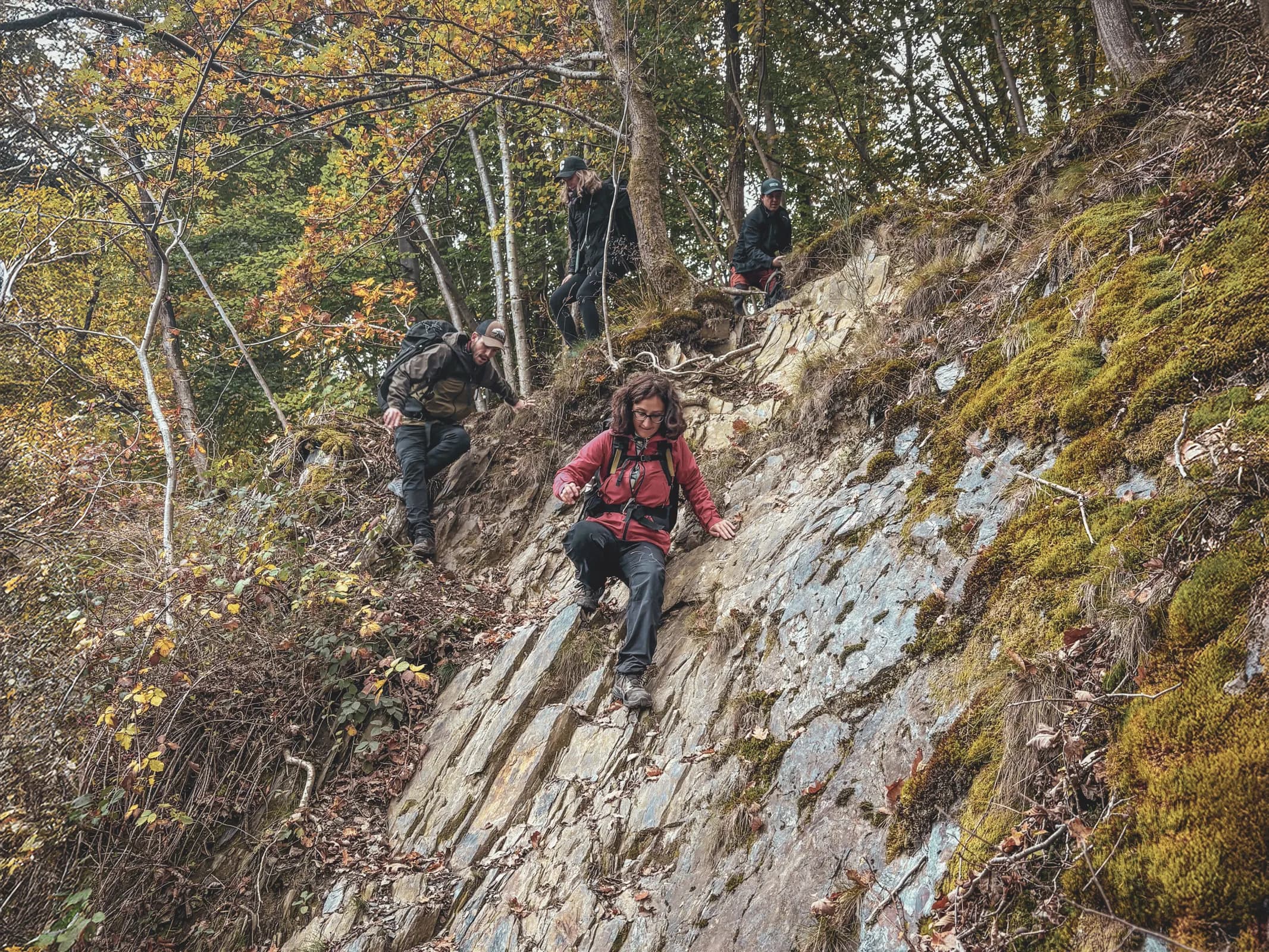 A group of adventurers descend a steep path in the forest, surrounded by autumn colours.