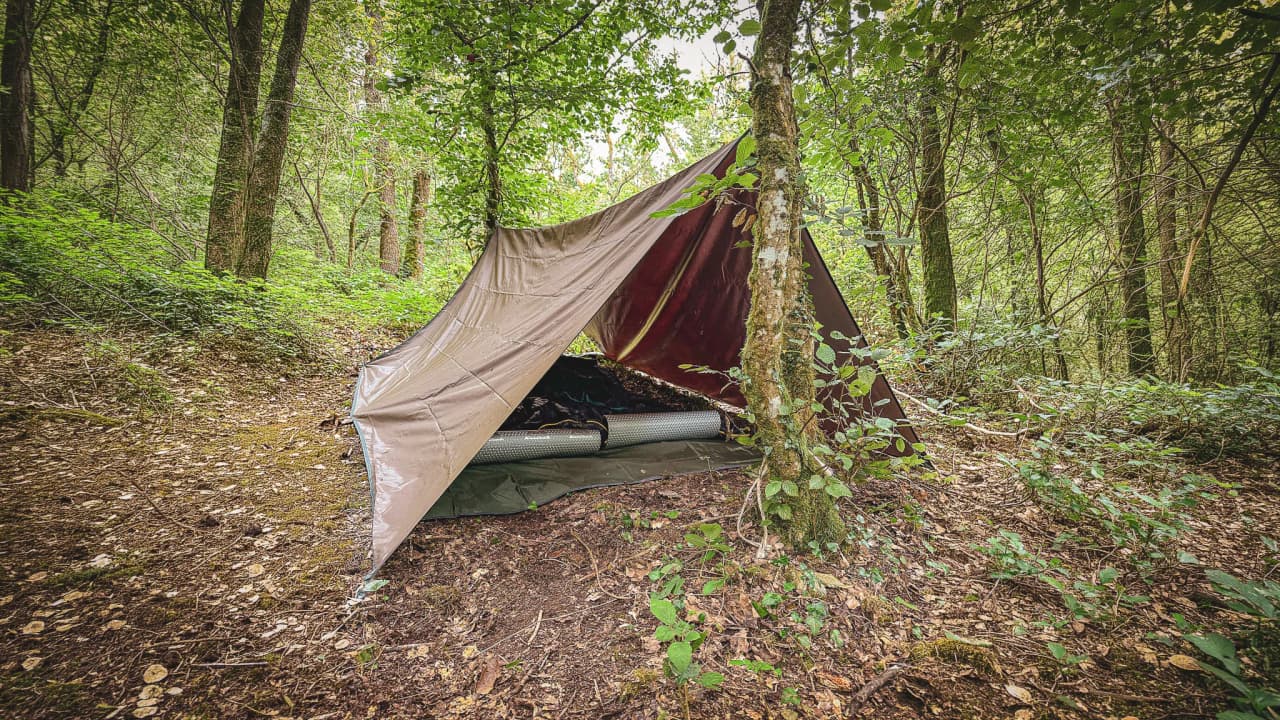 Tente de survie au cœur d'une forêt verdoyante, invitation à l'aventure en pleine nature.