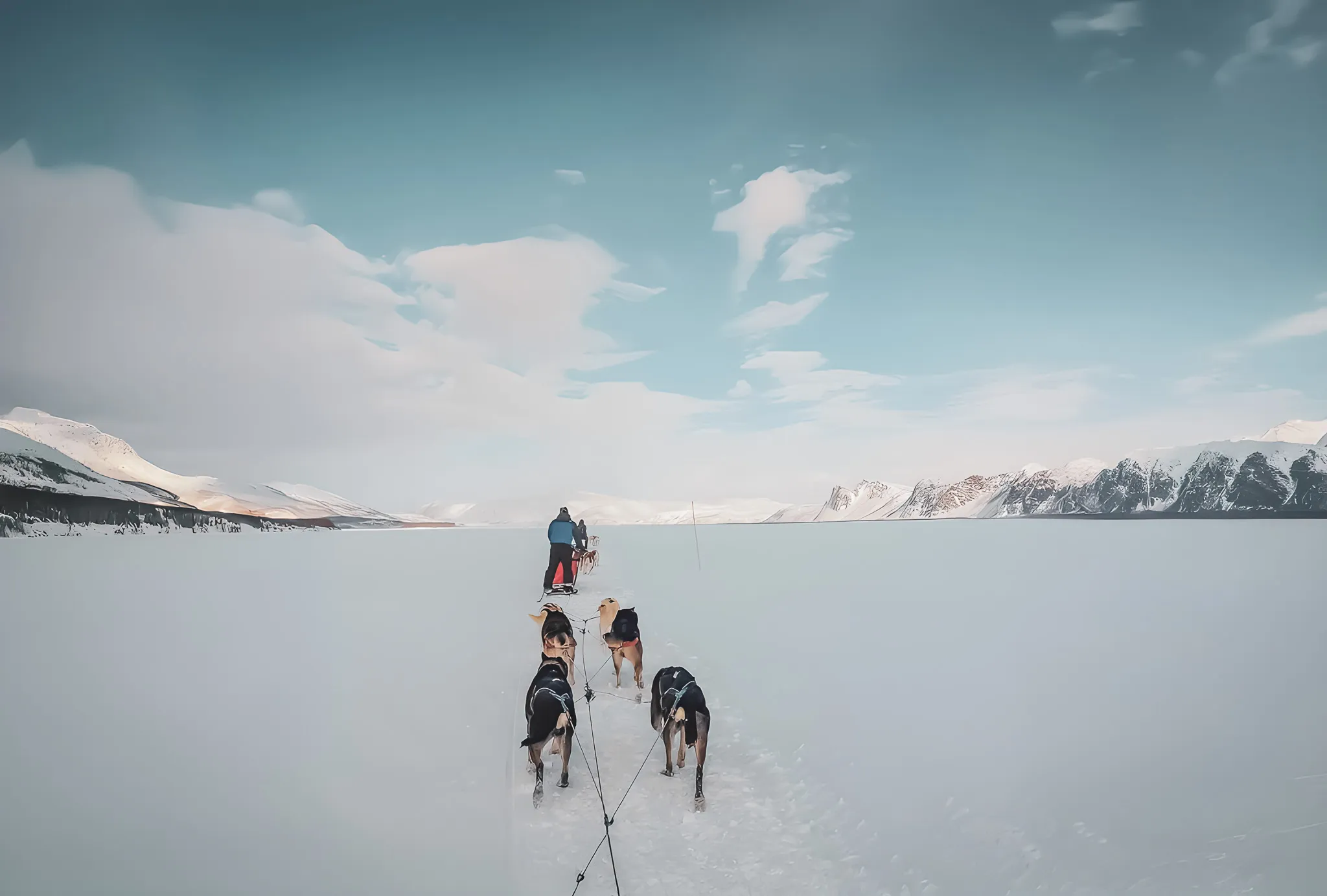 A team of huskies crosses a vast expanse of snow under a blue sky, promising adventure.