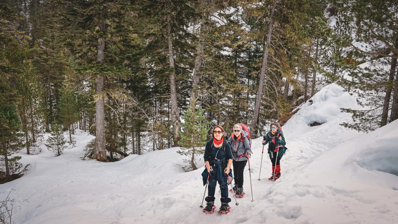 A group of hikers on snowshoes, trudging through the snow of the Pyrenees under the trees.