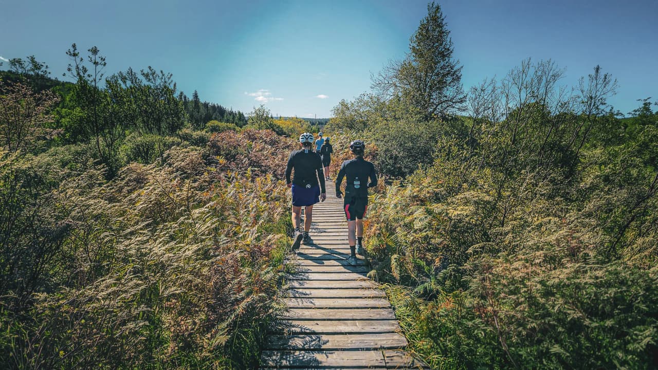 Een groep fietsers op een houten pad omgeven door groen in de Hoge Venen.