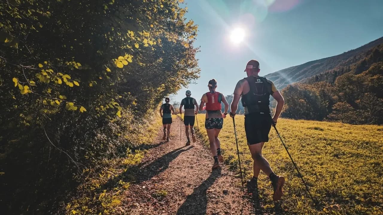 Een groep hardlopers loopt over een zonnig pad omringd door natuur en bergen.