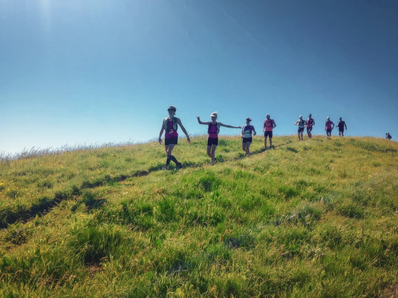 Groupe de coureurs en montagne sous un ciel bleu, explorant les paysages verdoyants du Mercantour.