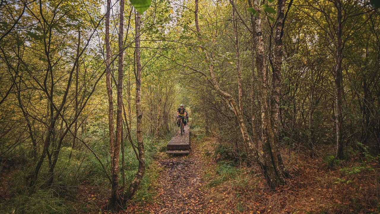 Cyclists on a wooden trail, surrounded by colourful forests in the heart of the Ardennes countryside.