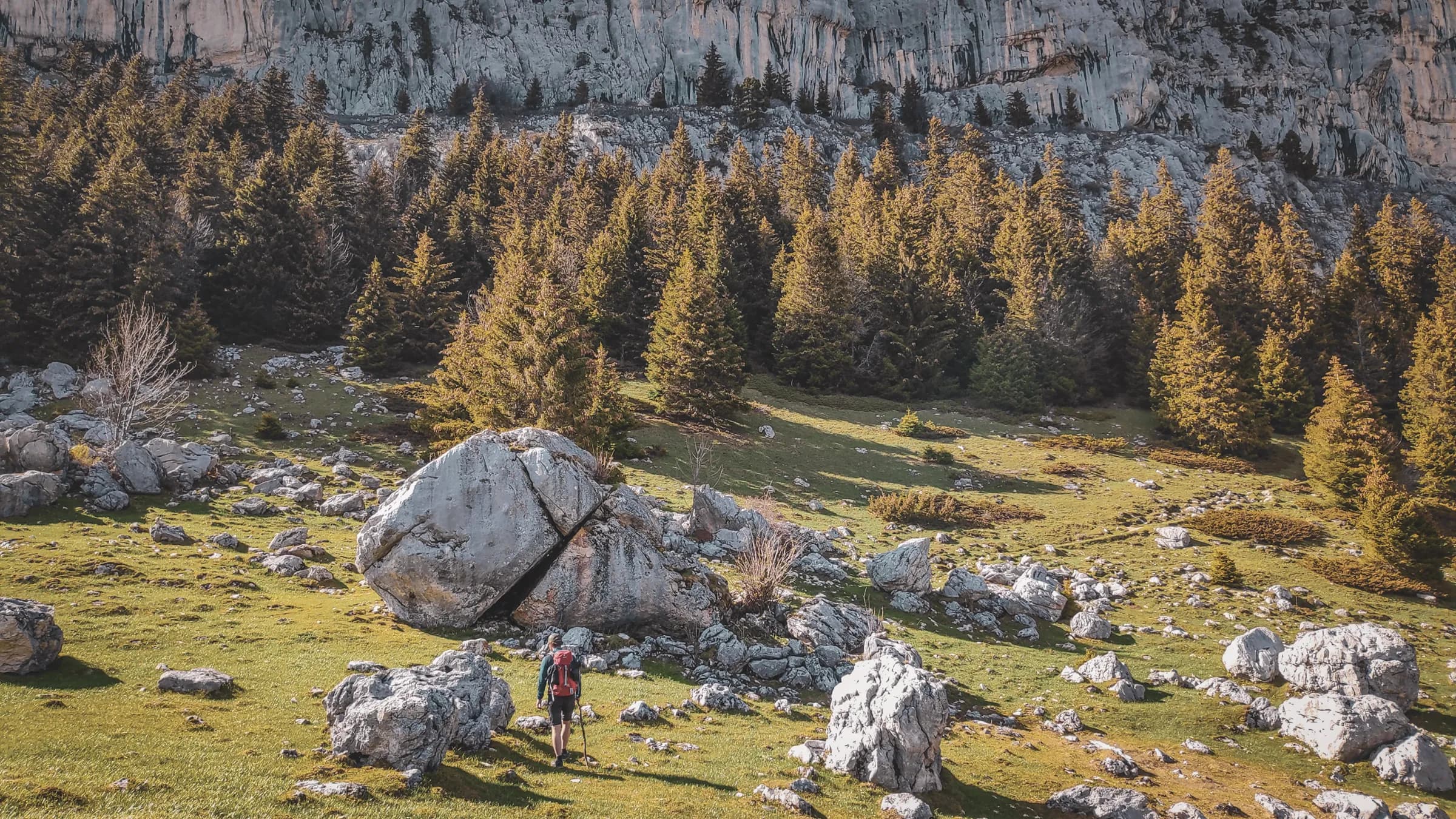 Randonneur devant un vaste paysage alpin avec des rochers et des forêts verdoyantes.