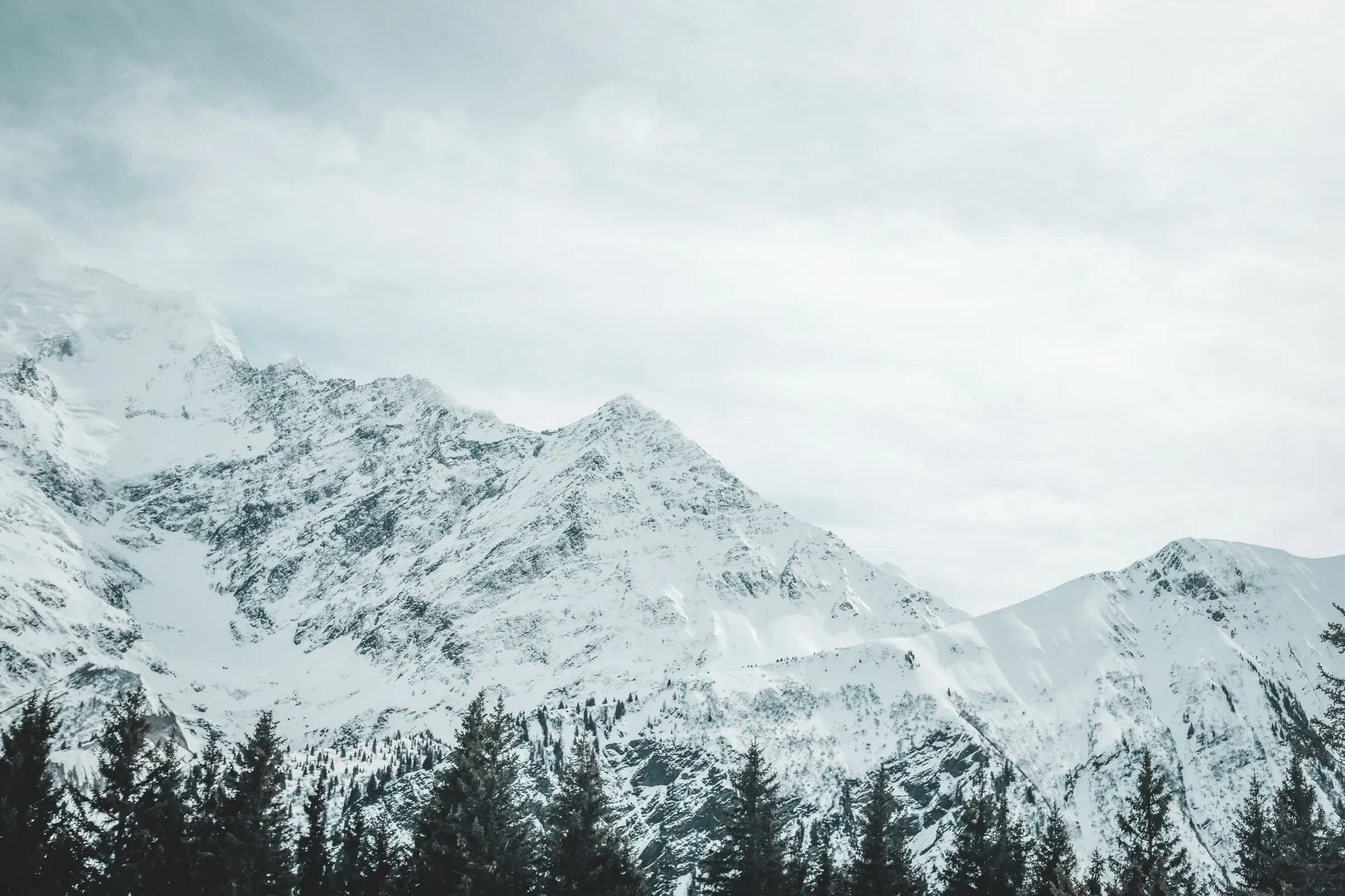 Montagnes majestueuses recouvertes de neige, avec une forêt dense en premier plan. Évasion parfaite !