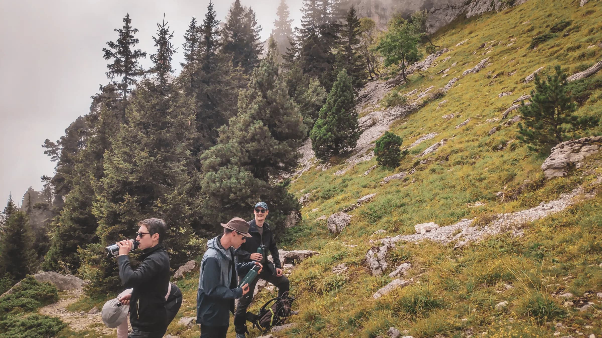 Groupe d'amis en randonnée dans les montagnes verdoyantes de Chartreuse, ambiance conviviale et nature préservée.